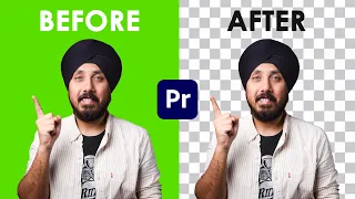 5 Best Premiere Pro Plugins For Removing Green Screens