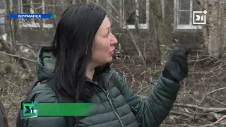 Невероятное количество мусора обнаружили в Мурманске
