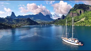 Variety Cruises in Moorea, French Polynesia: Amazing Planet (4K) 2023