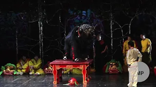 A glimpse at a Chinese New Year Lion Dance