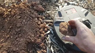 Gold Nuggets I Found on the Last Day of 2023 - DTGT Detecting The Golden Triangle
