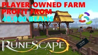 Runescape 3 - Player Owned Farms - Profit from 40,000 Beans!!