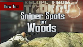 Sniper Spots on Woods - Ultimate Snipe Locations Guide - Escape from Tarkov Tips and Tricks EFT