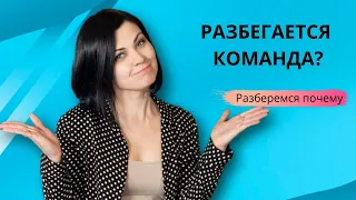 Сетевой маркетинг в интернете. Как создать и сохранить команду мечты?