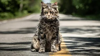 PET SEMATARY (2019)OFFICIAL TRAILER