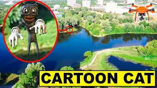 YOU WONT BELIEVE WHAT MY DRONE CAUGHT! | CARTOON CAT SIGHTING CAUGHT ON DRONE [MUST WATCH]