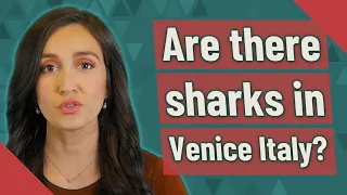 Are there sharks in Venice Italy?