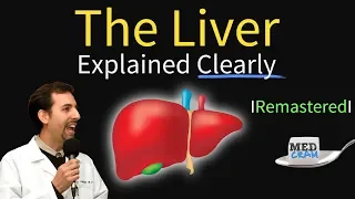 Liver Explained! Function, Pathology, Diseases, & Cirrhosis