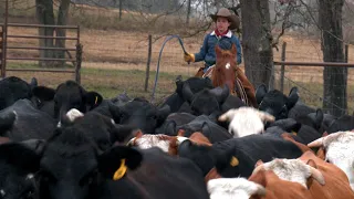 Cowboy Bo (Texas Country Reporter)