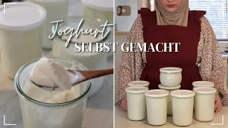 So einfach machst du deinen Joghurt selber 🤩