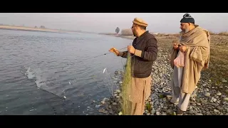 catching small trout fish using gill net |Traditional fishing techniques