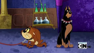The Looney Tunes Show - Taz Scares A Dog