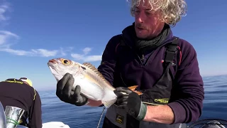 Come PESCARE Occhioni e Tanute a BOLENTINO: Fishing Tutorial con Marco Volpi