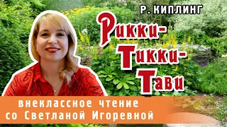 Рикки-Тикки-Тави, Редьярд Киплинг. PRO сказки