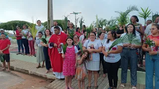 PROCISSÃO DO DOMINGO DE RAMOS DA PAIXÃO DO SENHOR - PARÓQUIA SAGRADO CORAÇÃO DE JESUS