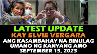 ELVIE VERGARA KASAMBAHAY SENATE HEARING UPDATE TODAY