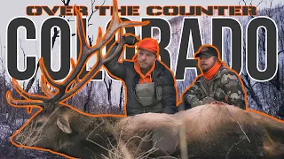 OTC Elk Hunt In Colorado | 4K FILM | Third Season Rifle | 2 elk down!
