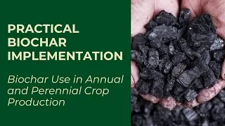Practical Biochar Implementation: Biochar Use in Annual and Perennial Crop Production