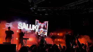 Saluki (feat. 104)-Улыбка (Live 22.08.23) Roof Place