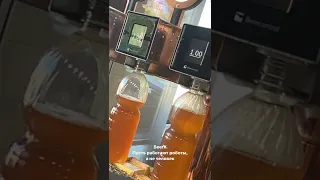 Автомат для розлива пива BeerX