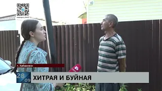 Не убедила: выдать убийство за самооборону перед присяжными не удалось даме, зарезавшей сожителя