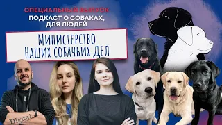 День рождения «Министерства наших собачьих дел»