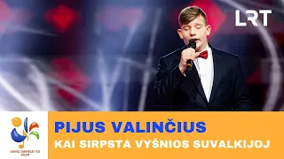 Pijus Valinčius – „Kai sirpsta vyšnios Suvalkijoj“ | „Dainų dainelė 2024“