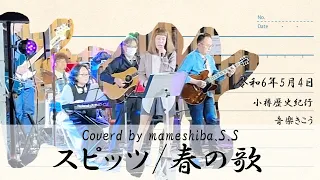 01 スピッツ/春の歌　mameshiba.s.s in おたる歴史紀行音楽きこう2024