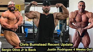 Chris Bumstead Recent Update + Sergio Oliva Jr. is Back + Justin Rodriguez 4 Weeks Out + MORE