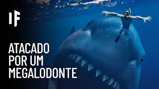 E se você fosse atacado por um megalodonte?