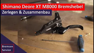 Shimano Deore XT BR-M 8000 Bremshebel zerlegen und wieder zusammenbauen (Bremshebel Service)