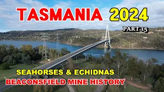 Tasmania 2024 / Pt 15 - Latrobe to Sheffield and onto Beaconsfield, so much to see.