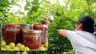 HOW TO MAKE CHERRY PLUM JAM | HOMEMADE JAM | HOME COOKING | #simplychris