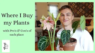 Where to Buy Good Plants - Cheap Plants, Rare Plants, Online Plants & Everything in Between