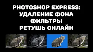 Photoshop Express: online удаление фона, фильтры, ретушь, изменение размера фотографии