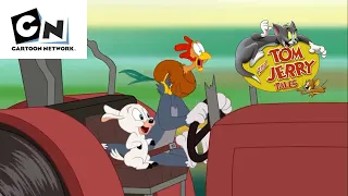 Tom and Jerry Show | Crazy for Ewe | #cartoonnetwork #tomandjerry #animation #newepisode