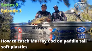 How to catch Murray Cod on paddle tail soft plastics.