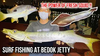 Fishing at Bedok Jetty | Scooping Squid and Surfcasting | Snapper, Barracuda and Stingray!