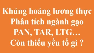 Khủng hoảng lương thực - Phân tích cổ phiếu ngành gạo PAN TAR LTG