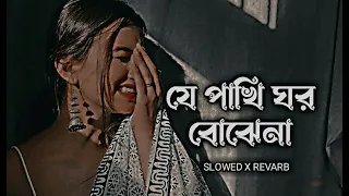 Je Pakhi Ghor Bojhena || যে পাখি ঘর বঝেনা [ Slowed + Revarb ] Dhruba || Bangla Lofi Song 2023 #lofi