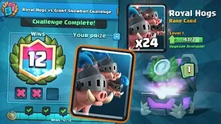NEW ROYAL HOG 12 WINS DRAFT CHALLENGE GAMEPLAY | Clash Royale | HOW TO WIN NEW CHALLENGE!
