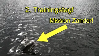 2.Trainingstag! 30 Km langer Stausee! Wir finden den Zander Hotspot! Der Gummifisch liefert einfach!