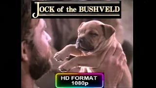 Jock of the Bushveld (1986) (HD 1080p)