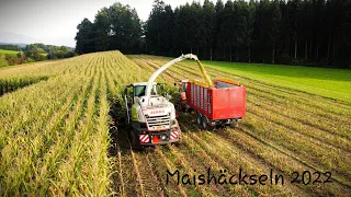 Maishäckseln 2022 mit Claas Jaguar 860 |Maisernte in der Schweiz