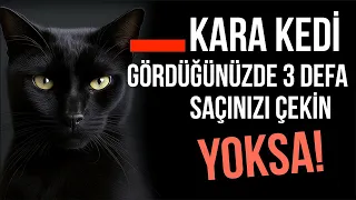 KARA KEDİLERİN TÜYLER ÜRPERTEN KARANLIK TARİHİ