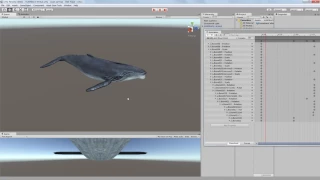 HUMPBACK WHALE unity asset