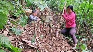 The single mother and her son completed the house and went to pick bamboo shoots to sell