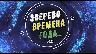 ЗВЕРЕВО - ВРЕМЕНА ГОДА (подробно).../2020 г.