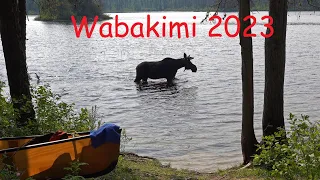 Wabakimi Canoe Trip, June 2023