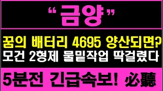 [금양 ] '긴급속보' 꿈의 배터리 4695 양산되면 벌어질일? 모건 2형제 물밑작업 딱걸렸다! 긴급 대응전략 "주주님들필수시청"